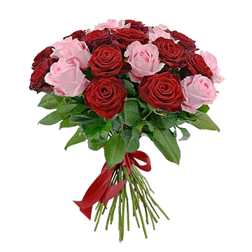 Букет из красных и розовых роз (80 см.)