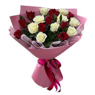 Bouquet of red and white roses (60 cm.)