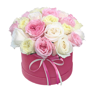 Vielfarbige Rosen in einer Box