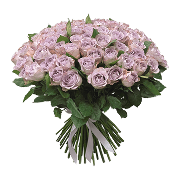 Букет сиреневых роз перевязанный лентой
