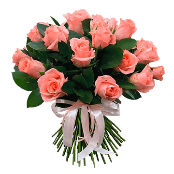 Bouquet of pink roses