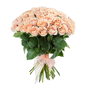 Букет розовых роз перевязанный лентой