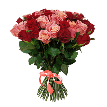 Букет из красных и розовых роз (60 см)