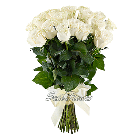 Bouquet de roses blanches (80 cm.)