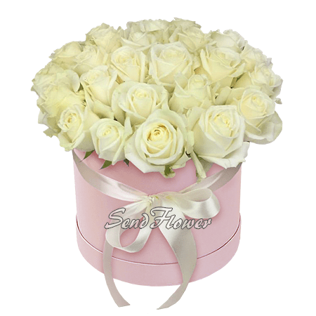 Roses blanches dans une boîte à chapeau