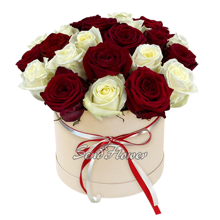 Roses rouges et blanches dans une boîte à chapeau