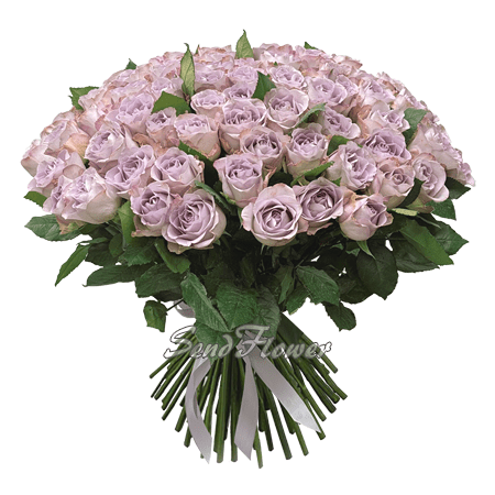Blumenstrauß aus lila Rosen (60 cm.)