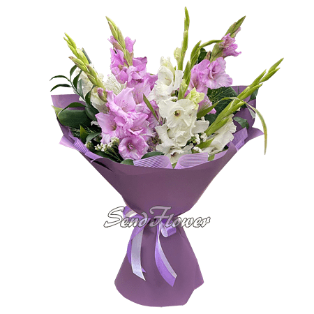 Bouquet of white and pink gladioli