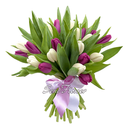 Ramo de tulipanes blancos y morados